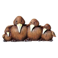 Kiwi Family