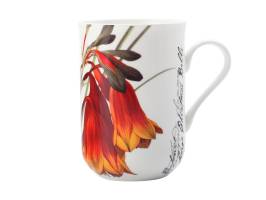 Gift: Royal Botanic Gardens Mug