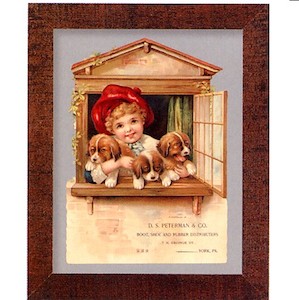 3100 1463 Girl with Puppies – D.S. Peterman & Co