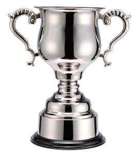 Hand-Crafted Trophy Cup with Band – Giftware & Engravers