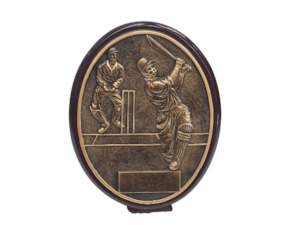 Resin Trophy Cricket Plaque (Large) – Giftware & Engravers