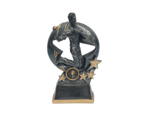 Resin Trophy: Cricket (Bowler) – Giftware & Engravers