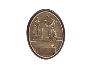 Resin Trophy: Cricket Plaque (Small) – Giftware & Engravers