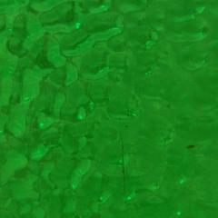 Department store: Glass Scrap Packs - Green T