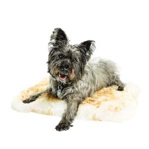 Petcare Pet Rug