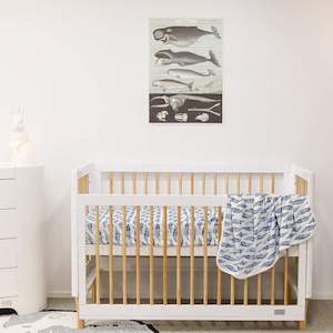 Babyhood Riya 5 in 1 Cot - White