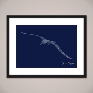 Clothing: Toroa Wall Art