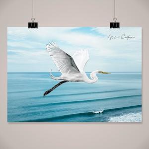 Clothing: Kotuku Scenic Wall Art