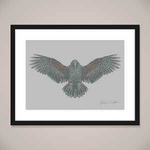 Clothing: Kea Wall Art