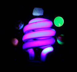 UV Light Bulb/ Blacklight