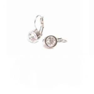 Earrings -Steel Silver - Crystal Circle  104600561