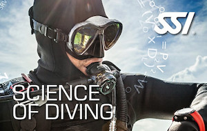 Science of Diving goatislanddive