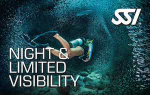 Diving school: Night Diving & Limited Visibility. goatislanddive