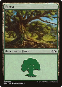 Forest (31) (Elves vs. Goblins) [Duel Decks Anthology]