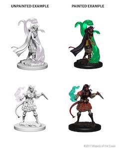 D&D Nolzur's Marvelous Miniatures | Tiefling Sorcerer (Female (021))