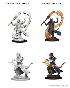 D&D Nolzur's Marvelous Miniatures | Tiefling Sorcerer (Male (014))