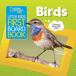 Little Kids First Board Book Birds