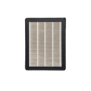 Platinum: Replacement Hepa & Activated Carbon Filter Set GPTF480