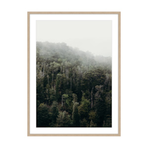 Nick George x Goldie Fine Art Print | Misty Forest