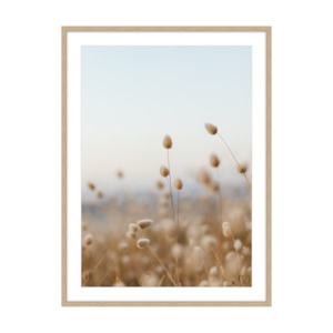 Nick George x Goldie Fine Art Print | Bunny Tails