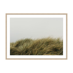 Nick George x Goldie Fine Art Print | Beach Grass