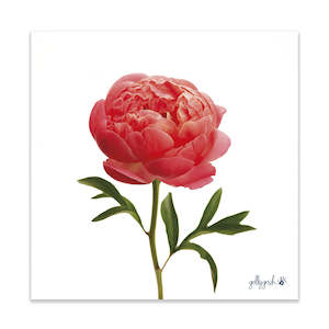 Peony Flower Fine Art Print