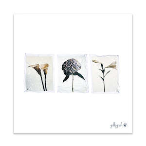 Triple Flower Polaroid Fine Art Print