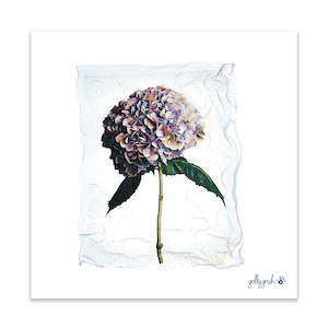 Hydrangea Polaroid Fine Art Print