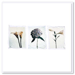 Triple Flower Polaroid Greeting Card