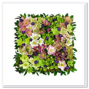 Helleborus Square Greeting Card