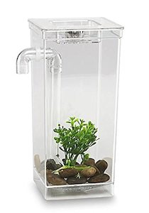 Fun Fish Tank, 4 3/4 x 6 x 10-Inch