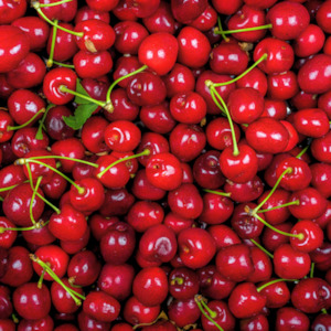 Cosmetic wholesaling: Cherry kernel oil, certified organic