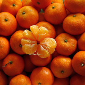 Mandarin essential oil, Australia