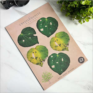 Homeware: Pop out Kawakawa Leaves Set