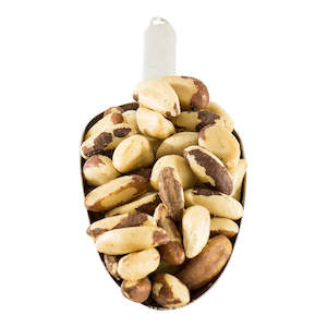 Health food: Brazil Nuts - Activated - Organic