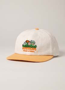 Lids: Friends Lid - White/Orange