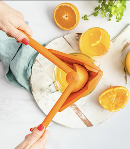 Gift: Fluicer Juicer - Oranges