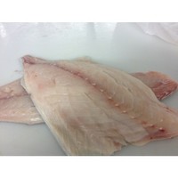 White warehou skin off bone out fillets