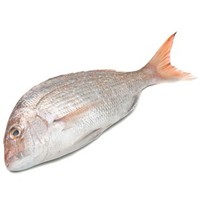 Seafood - fresh: Snapper, whole gilled &. Gutted