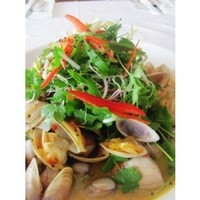 Seafood - fresh: Clams, diamond shell (blanched)