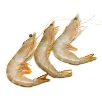 Prawns, whole (u15, frozen)