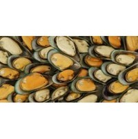 Seafood - fresh: Mussels, half shell (frozen)