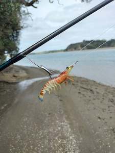 Gr8nzlifefishing: Juicy Prawn Range  90mm