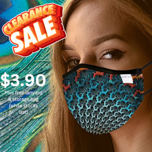 Reusable Fabric  Face Mask - with nose wire, Filter Pocket and two 2.5 Filters- Peacock