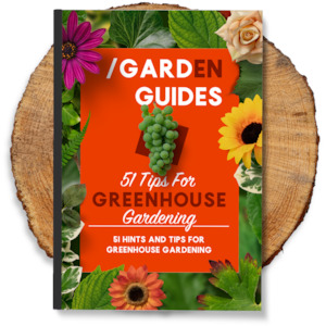 Greenhouse Gardening | 51 Tips to get Ahead