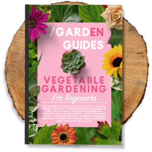 Vegetable Gardening For Beginners