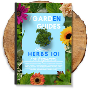 Ultimate Herbs 101 For Beginners