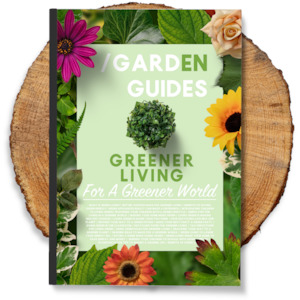 Greener Living For A Greener World