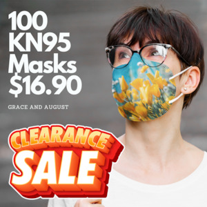 KN95 Mask 100 Patterned Mask |  10X 10 pack Summertime CLEARANCE