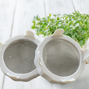 Sprouting Jar lids - Stainless Steel Screen for Wide Mouth Mason Jars - 2 Pack